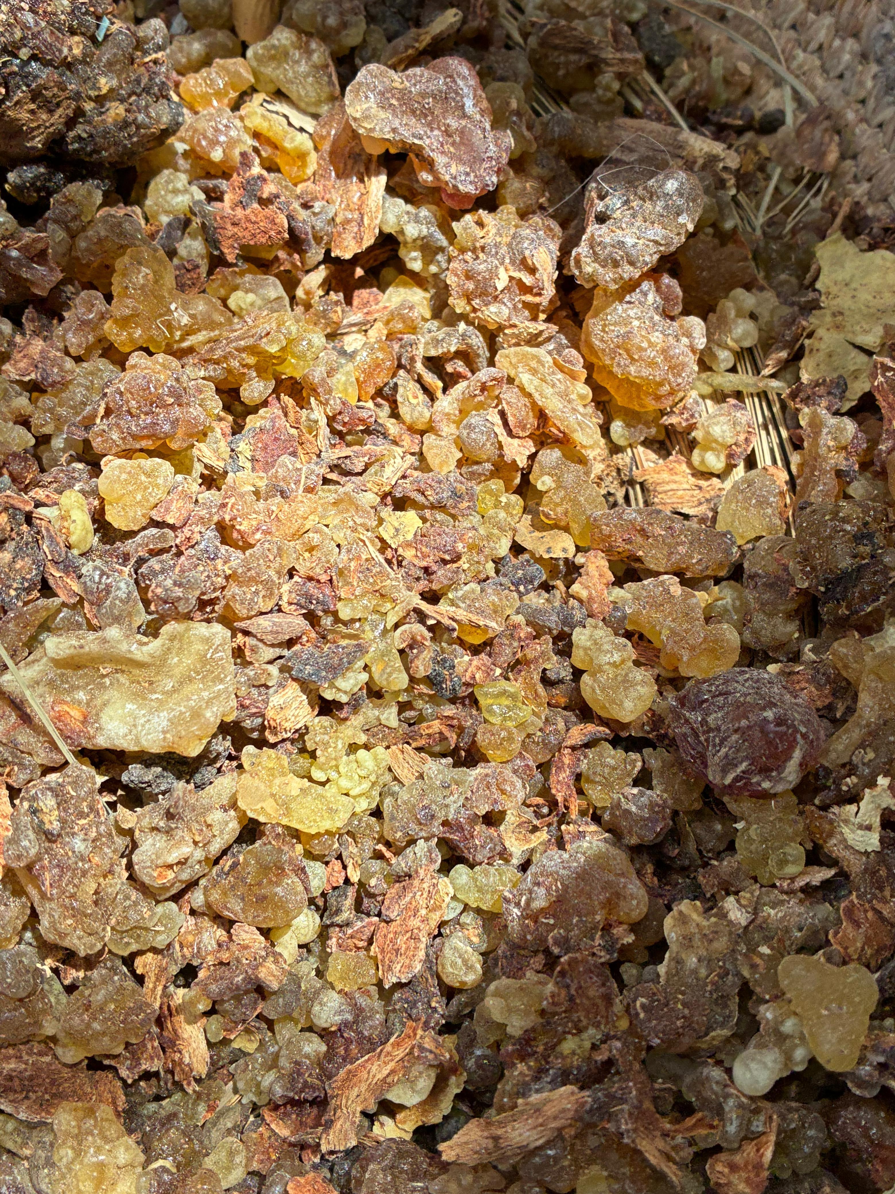 Frankincense Grade 1