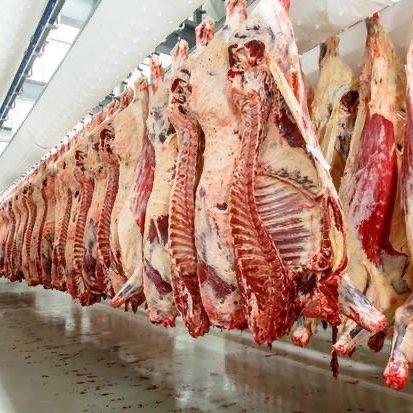Top 4 verified Frozen Beef suppliers in United States Worth Knowing - 2