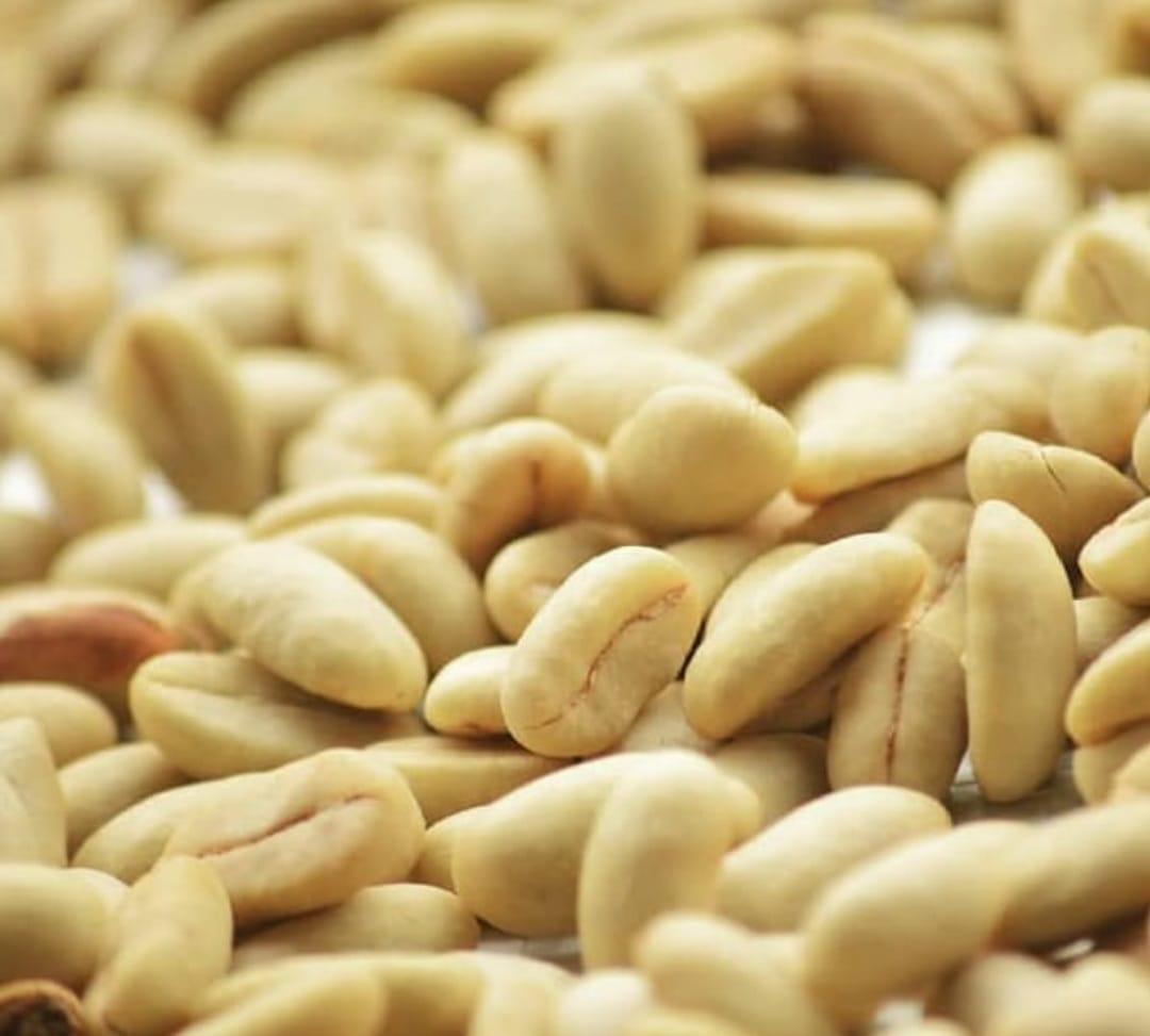 High-Quality Coffee Processing