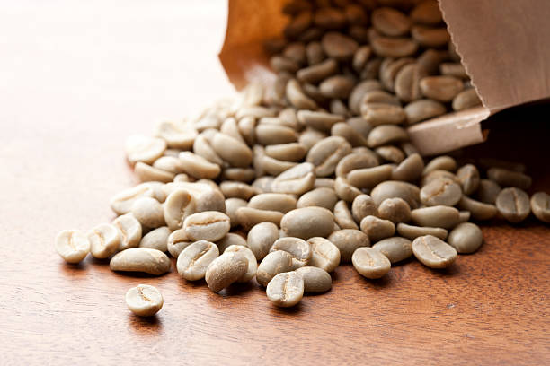 Top 5 Coffee Beans Suppliers in Egypt in August 2025: Navigating a Rapidly Evolving Market