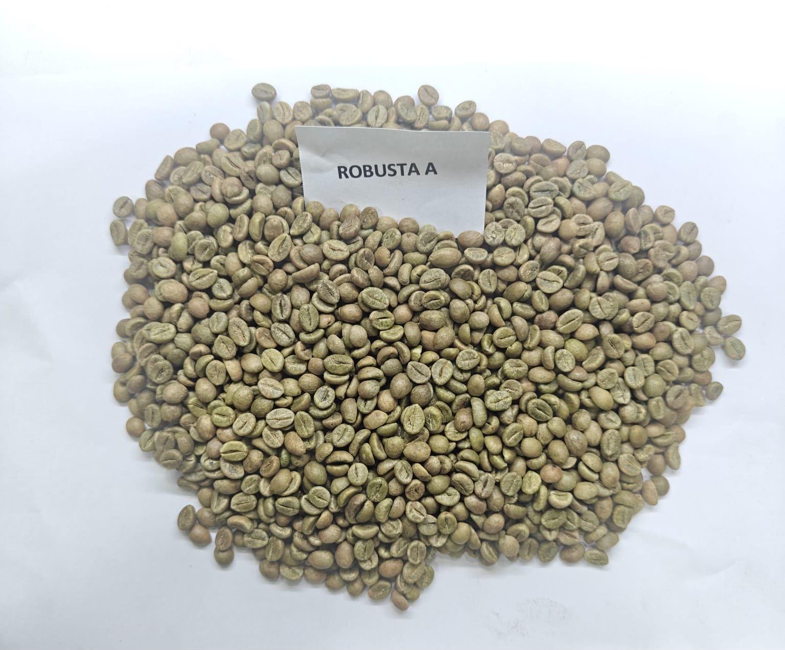 Raw Coffee Beans – product photo, product description