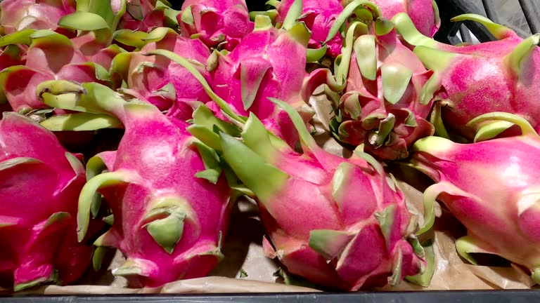 Top 6 Red Dragon Fruit Suppliers in Malaysia in Quarter 3 of 2025: Urgent Market Update & Strategic Insights