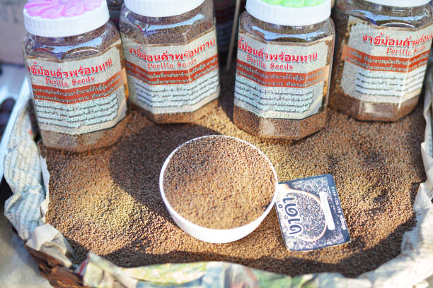 A Comprehensive Guide to Sourcing High-Quality Seed: Top 8 Seed Suppliers in Belgium in 2025