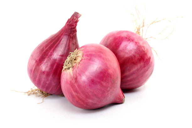 A Comprehensive Guide to Sourcing High-Quality Onion: Top 7 Onion Suppliers in Spain in July 2025