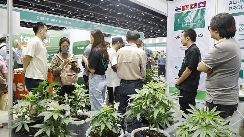 Why Asia International Hemp Expo Matters for B2B - 2