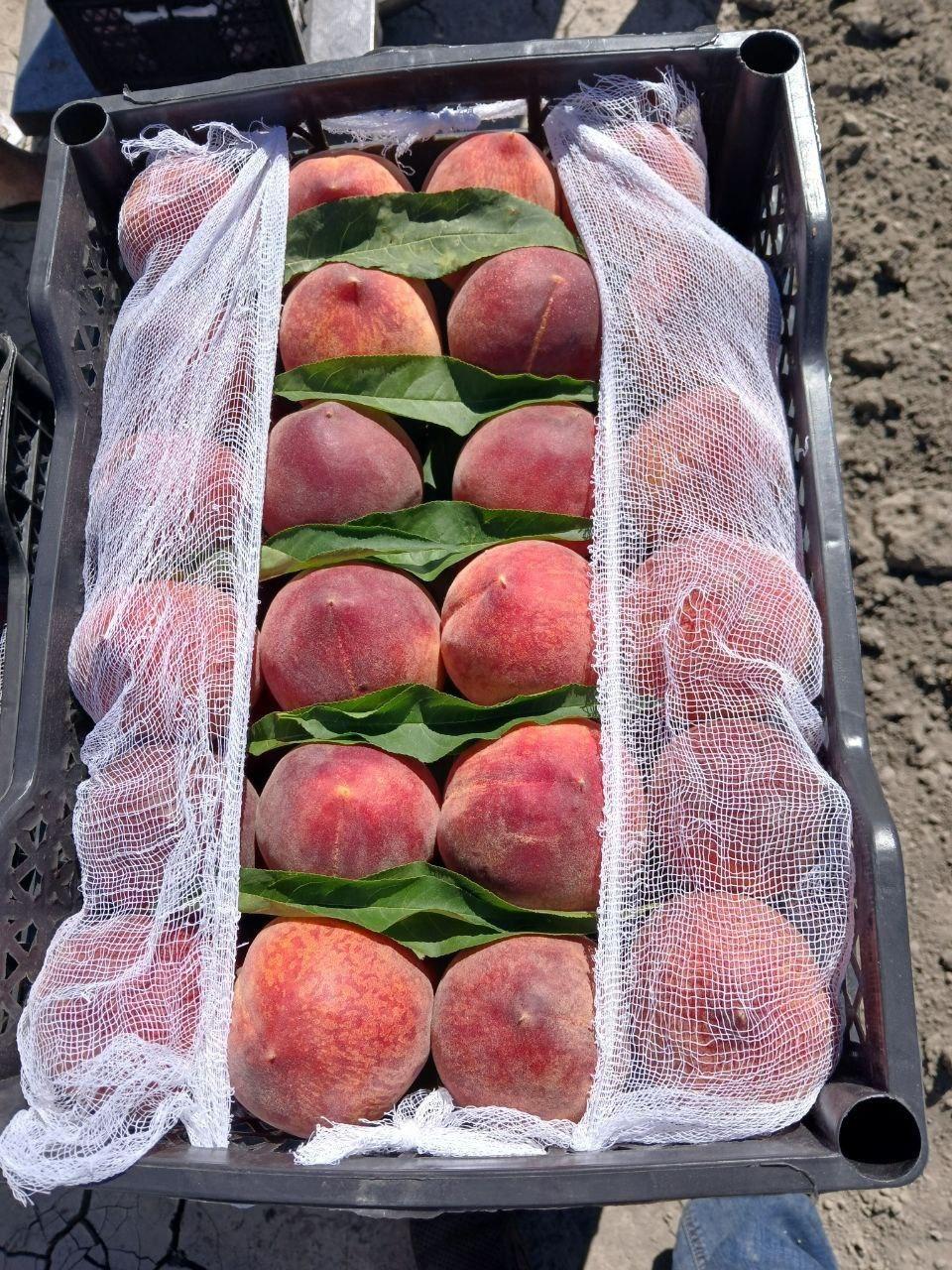 Juicy Peach Close-up