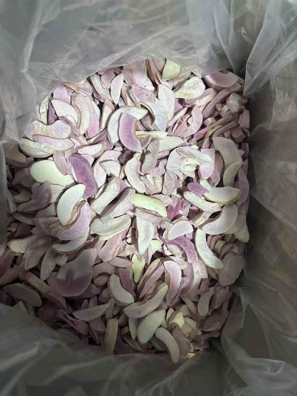 Freeze Drying Process
