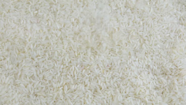 Your Expert Guide to Procuring Top-Tier Jasmine Rice: Top 5 Jasmine Rice Suppliers in Malaysia in Quarter 3 of 2025