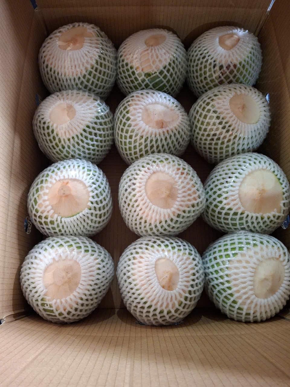 Fresh Coconuts