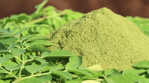 Moringa Leaf Powder Image 1