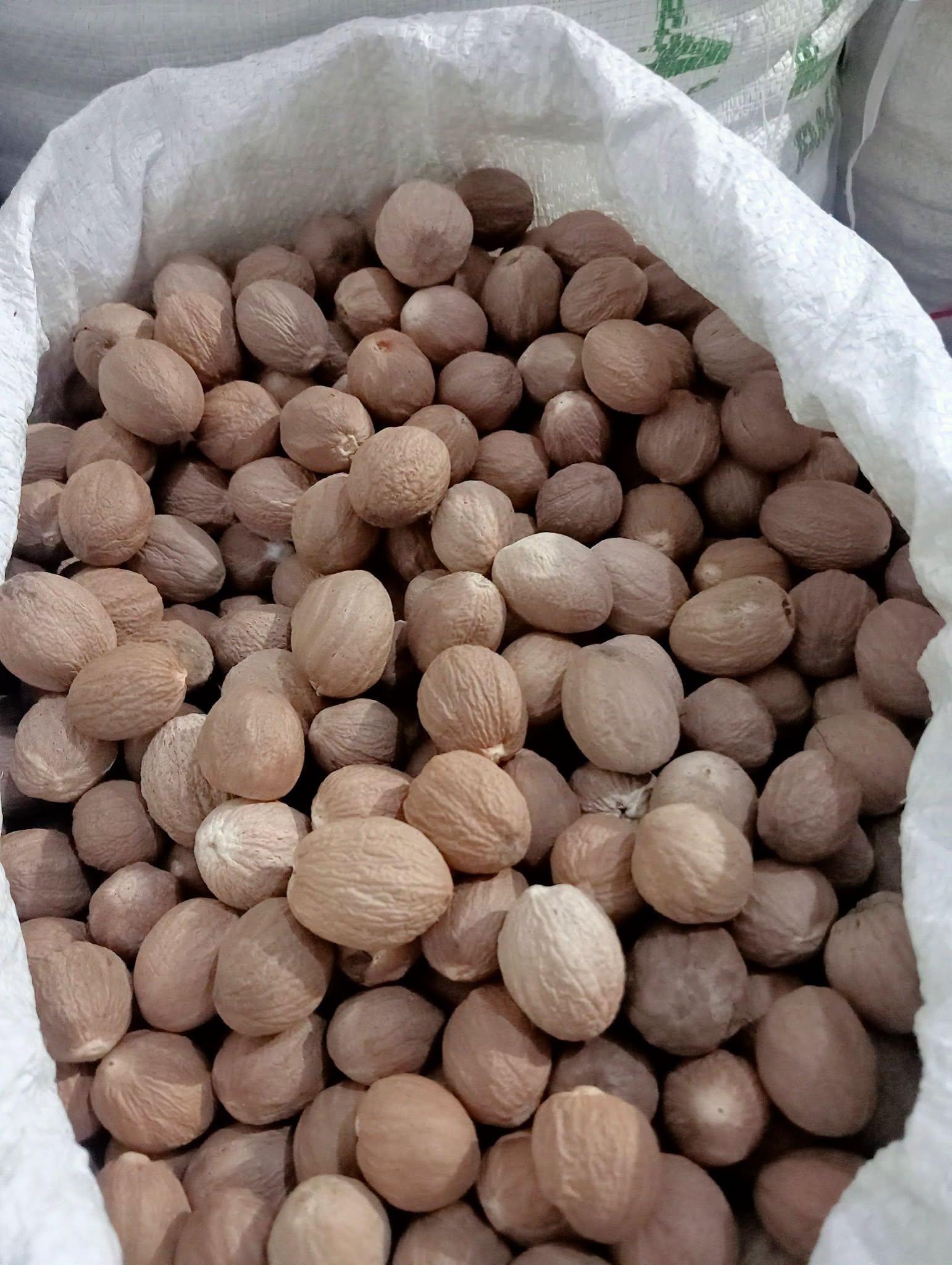 Nutmeg Grade AB