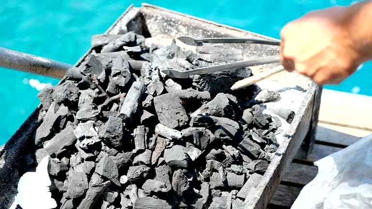 Top 5 Charcoal Suppliers in Kenya in Year 2025: Navigating a Shifting Market