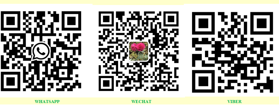ca7ca57c89af444f90b9797e02dc8320