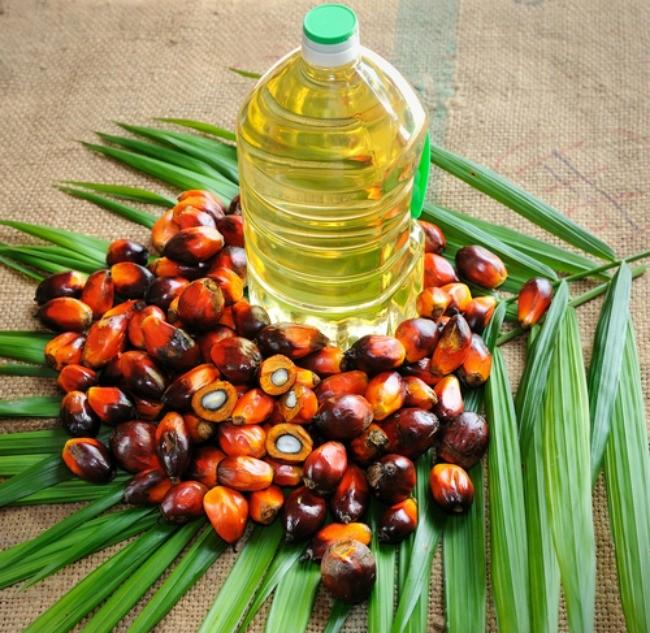 Top Grade REFINED PALM OIL / PALM OIL - Olein CP10, CP8, CP6 For Cooking /Palm Kernel OIl CP10