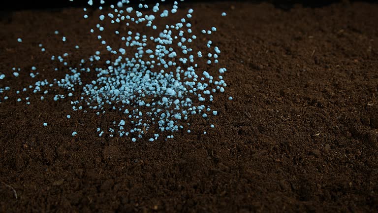 Top 3 Fertilizers Suppliers in France in July 2025: A Data-Driven Look into France’s Fertilizers Market