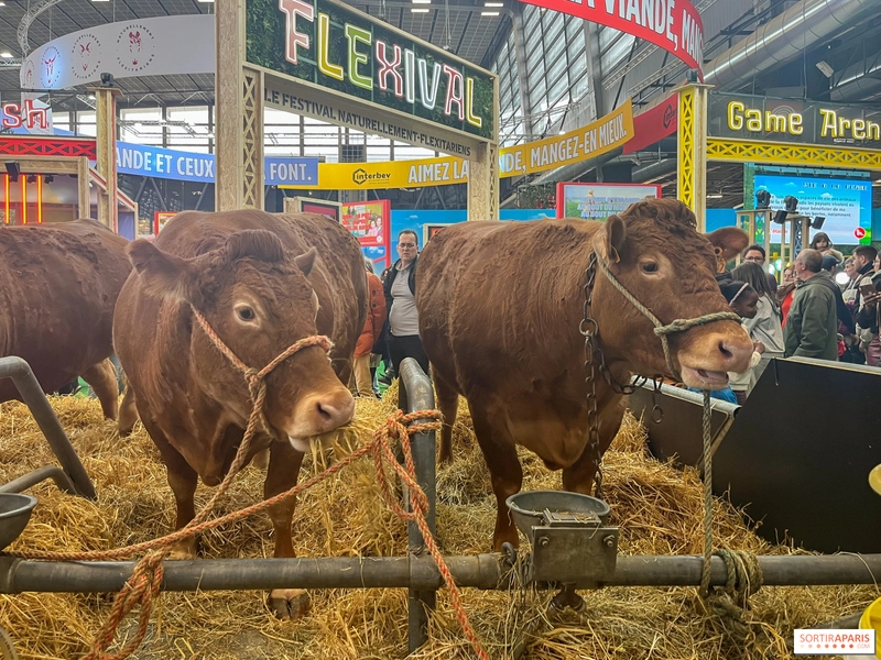 Discover SALON INTERNATIONAL DE L'AGRICULTURE: B2B Event Guide - 3