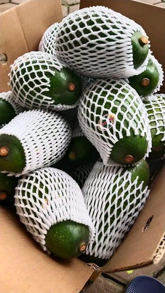 Pameling Avocado
