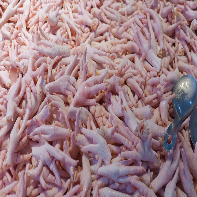 Wholesale Frozen Chicken Feet and Premium Halal Chicken Paws for Global Buyers