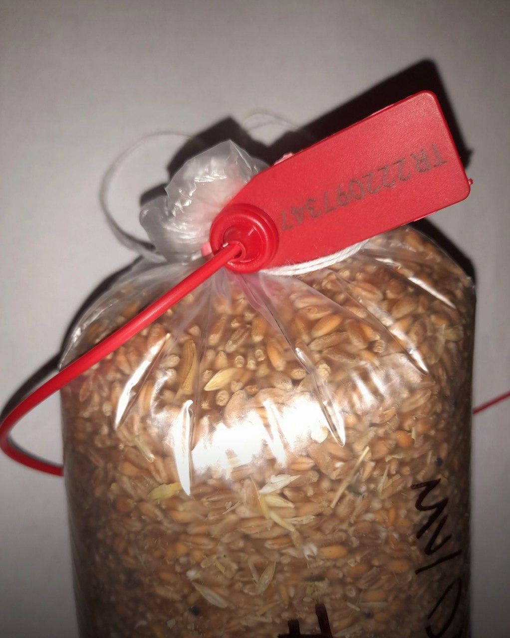 High Quality Milling Wheat
