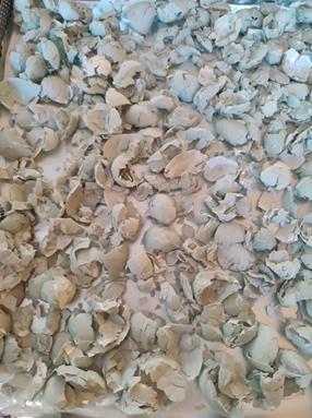 Eggshell Powder Image 1