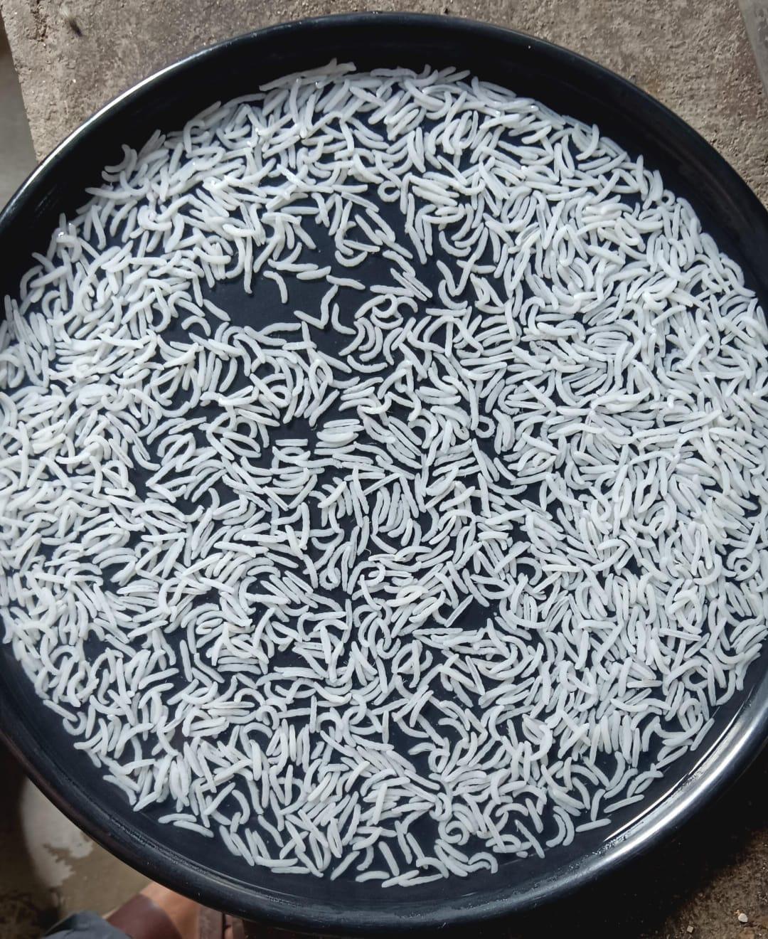 White Basmati Rice