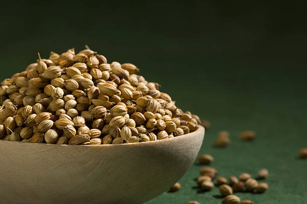 Top 8 Coriander Seeds Suppliers in Spain in July 2025: A Data-Driven Export Market Overview