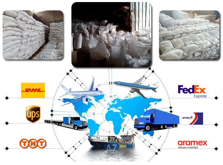 Rich Quality High Grade Pure Natural Organic Pumpkin Seeds Kernels from Top Supplier