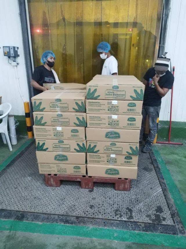 Saba Bananas Image 3