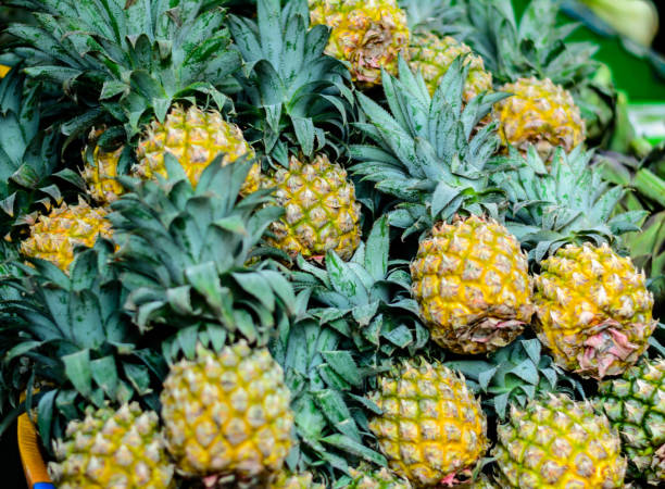 Top 10 Pineapple Suppliers in China in Quarter 3 of 2025