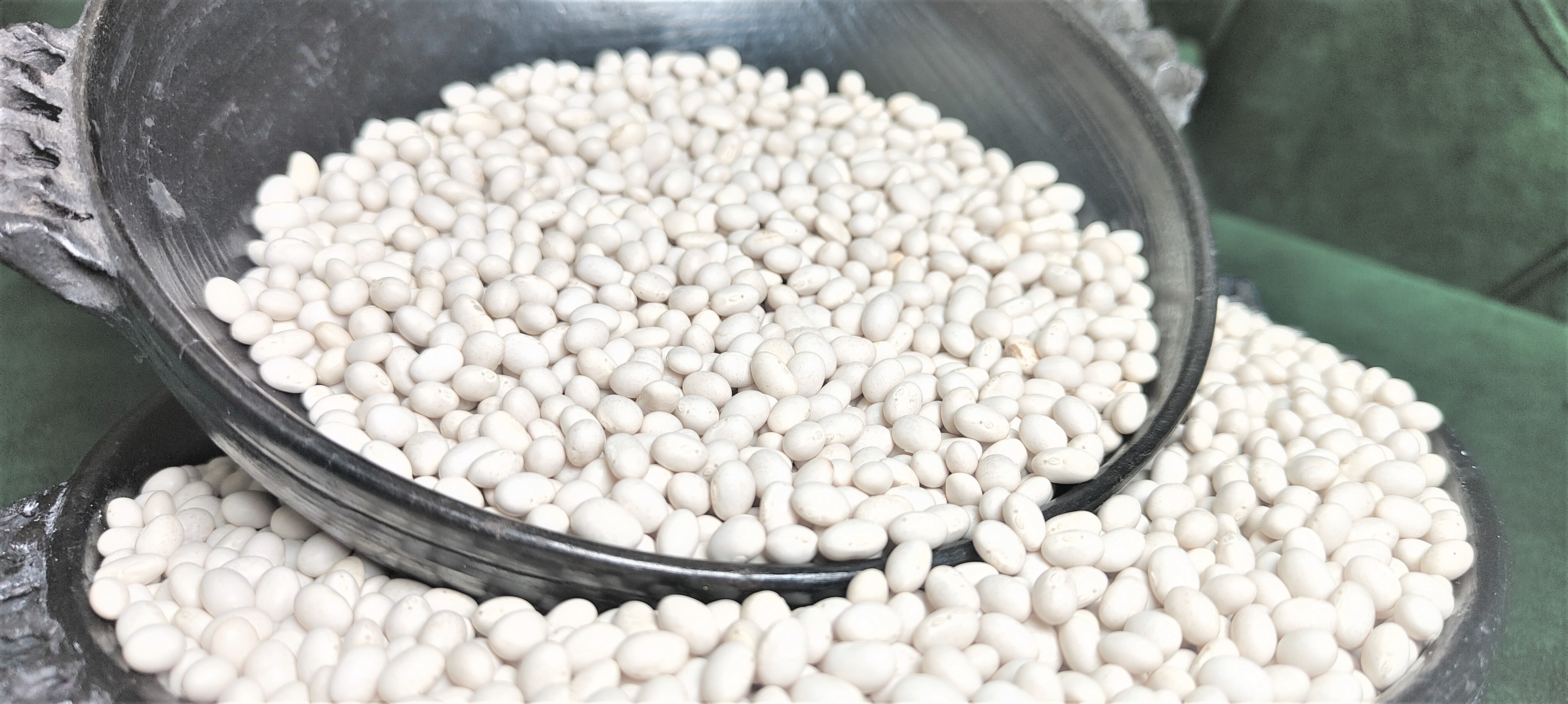Ethiopian Origin New Crop 2024 White Pea Beans Wholesale Dried Handpicked and Polished Bulk Quality Kidney beans.