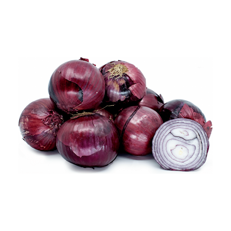 Factory price red onions wholesale premium grade onions bulk shipment ready