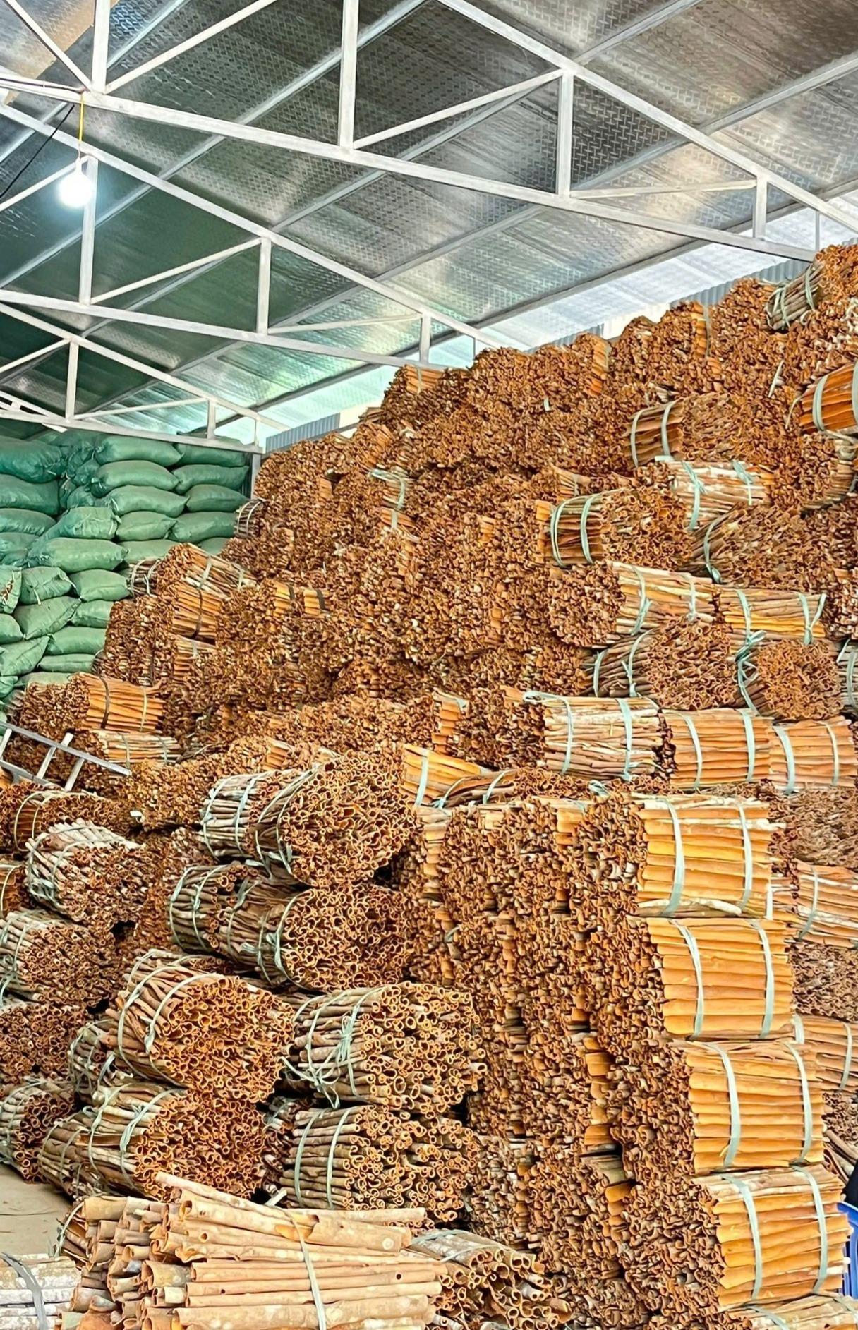 Cassia Cinnamon Stick