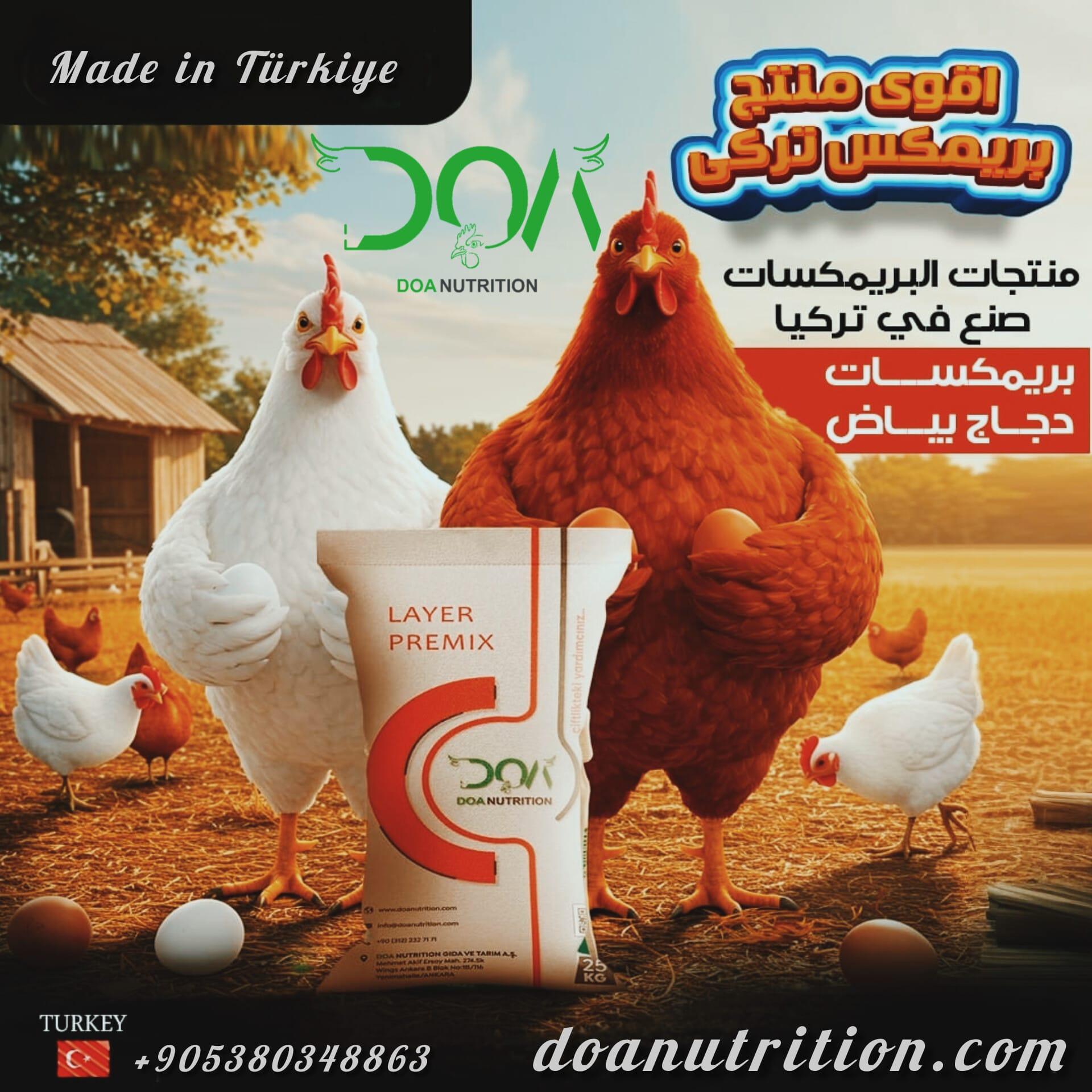 High-Quality Ingredients