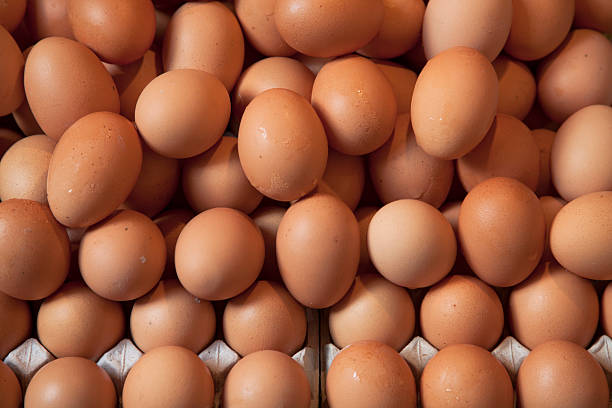 Top 5 Eggs Suppliers in Pakistan in Quarter 3 of 2025: Market Update Amid Climate & Supply Chain Shocks