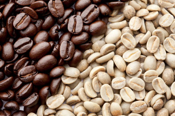 A Comprehensive Guide to Sourcing High-Quality Robusta Coffee: Top 5 Robusta Coffee Suppliers in Netherlands in July 2025