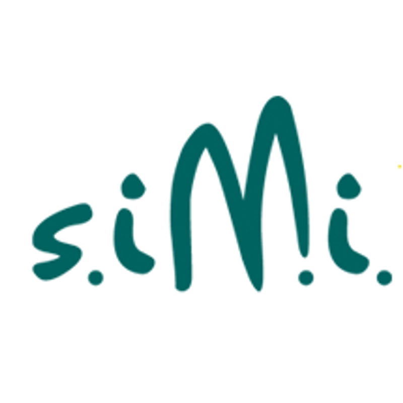 SIMI Paris Revealed: B2B Opportunity