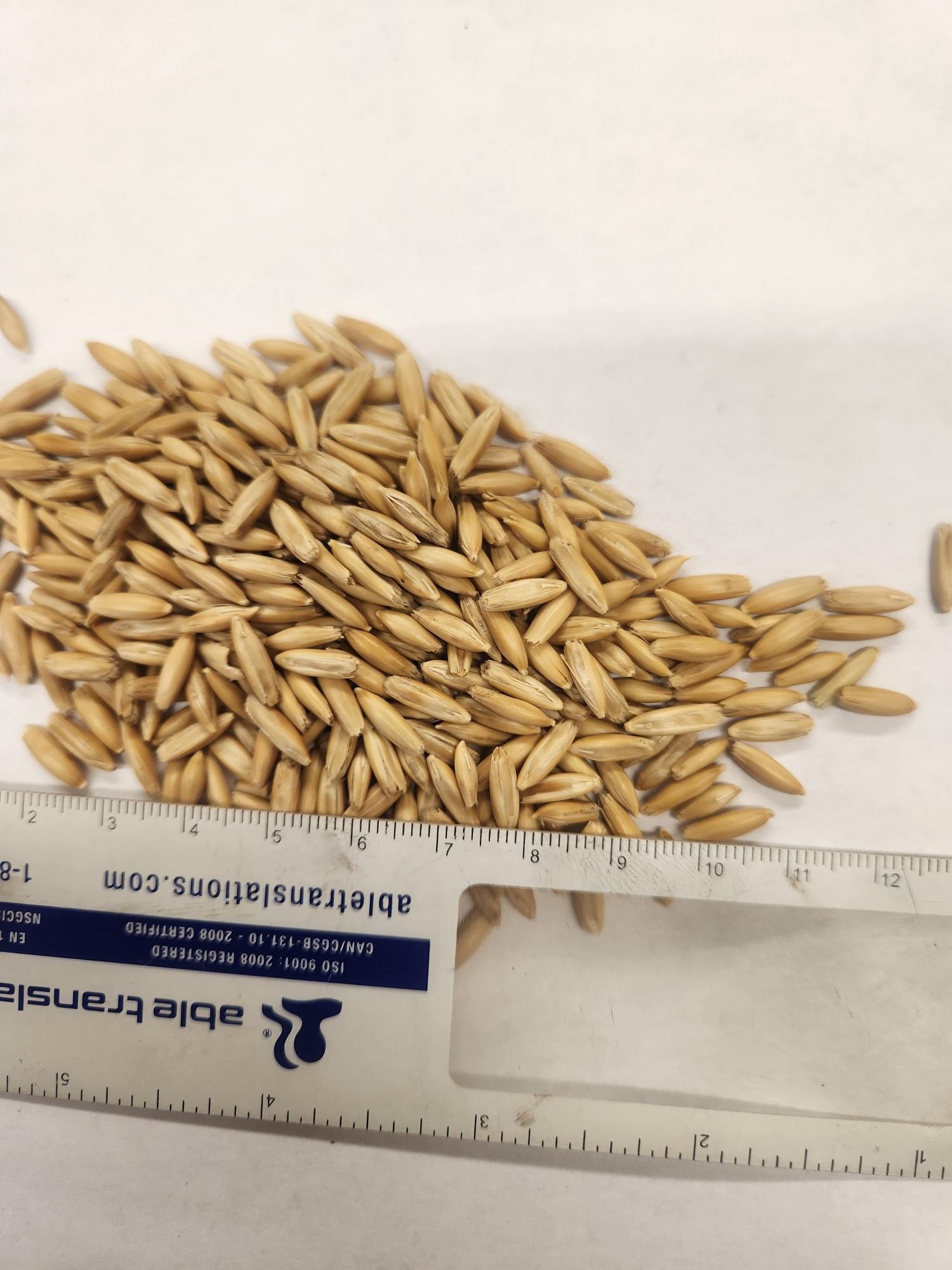 Oats