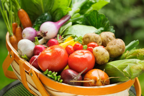 Top 6 Fresh Vegetables Suppliers in Ukraine in August 2025: Market Update & Urgent Buyer Insights