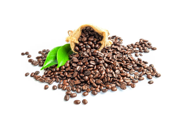 Top 3 Coffee Beans Suppliers in United Kingdom in Year 2025