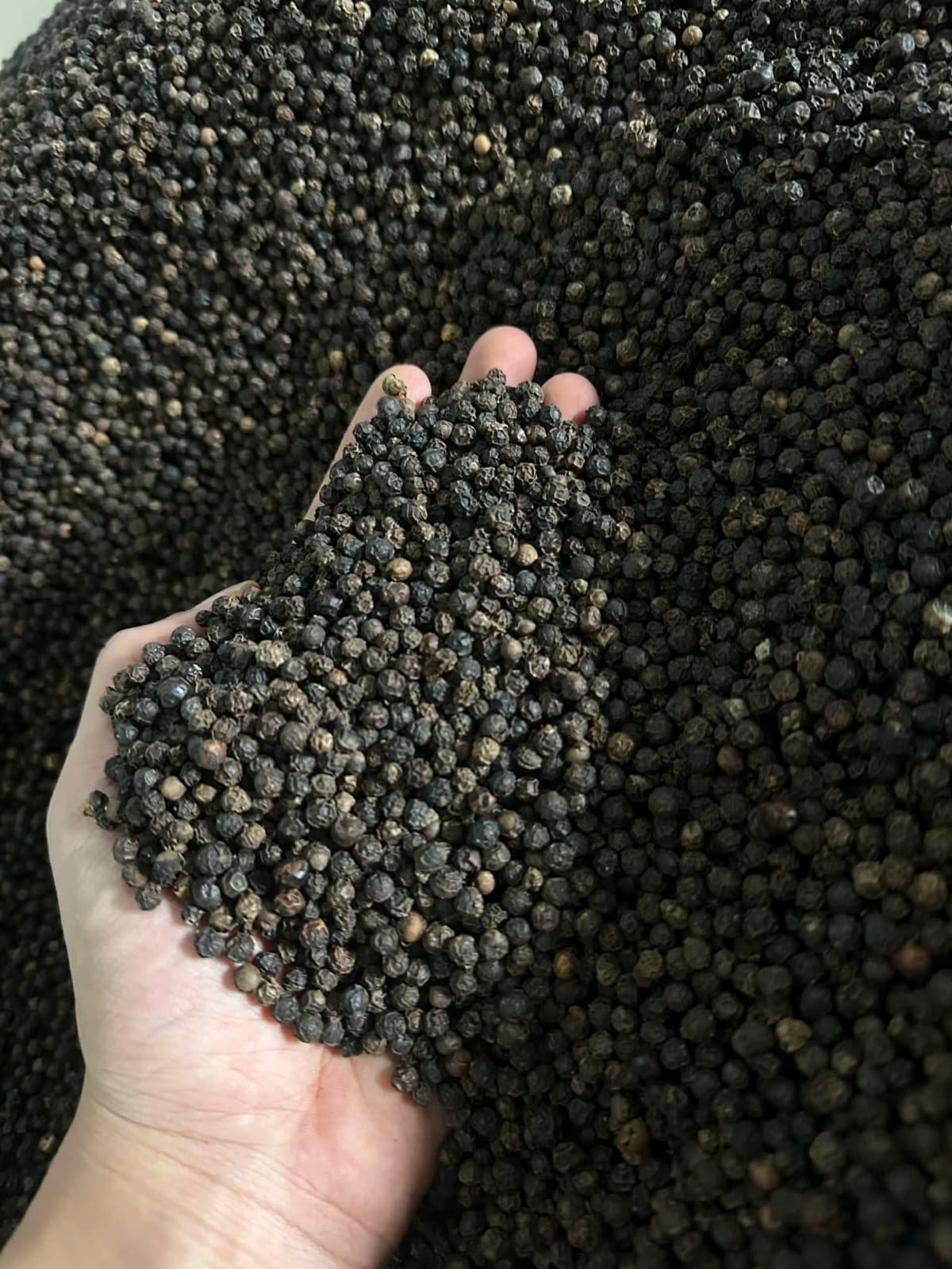 Whole Black Pepper