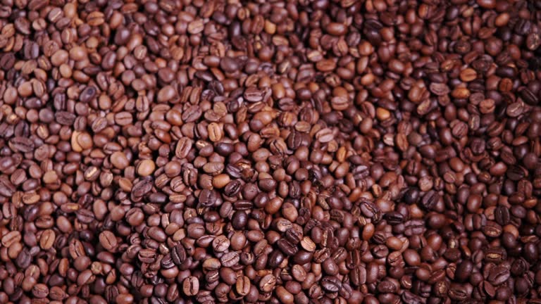 Your Expert Guide to Procuring Top-Tier Coffee: Top 5 Coffee Suppliers in Netherlands in Quarter 3 of 2025