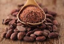 Cacoa bean Delivery Time Timely Deliveries Stock Locations Uganda, Belgium, Italy