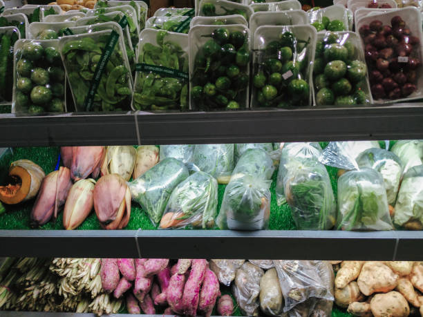 Top 8 Fresh Lights Suppliers in India in October 2025