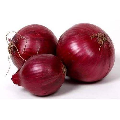 Top 3 Fresh Onion suppliers in Thailand — 3 Capabilities Reviewed