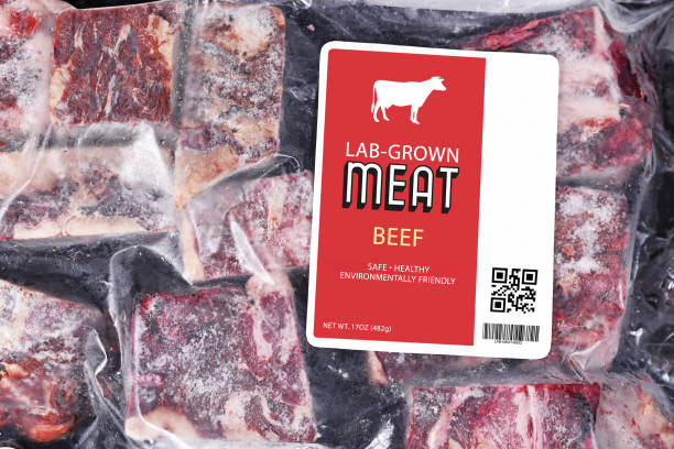 A Comprehensive Guide to Sourcing High-Quality Frozen Beef: Top 8 Frozen Beef Suppliers in Thailand in October 2025