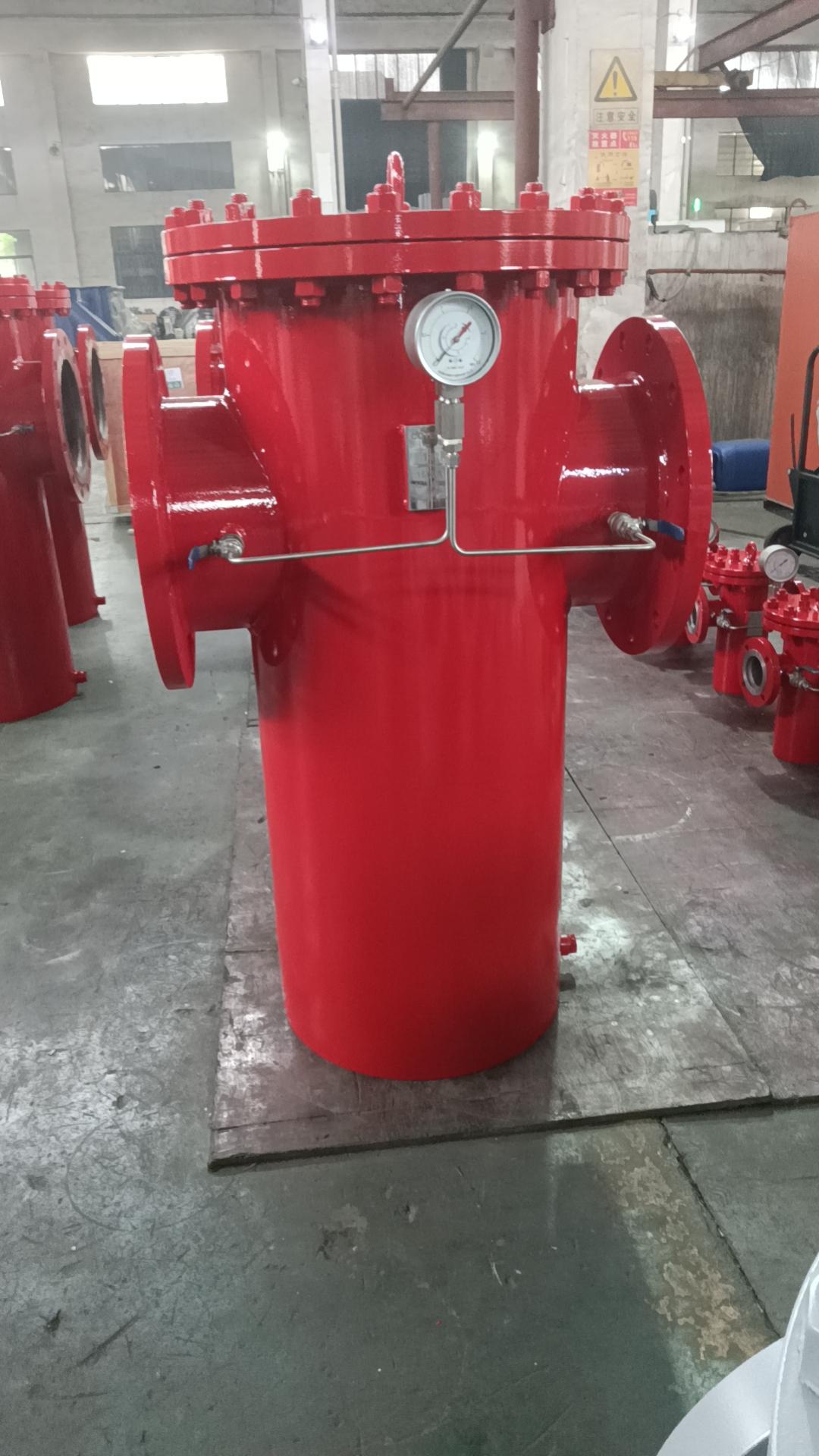 DOMOS VALVE DMS Basket Strainer Filter Stainless Steel Carbon Steel Welded Body Flange Connection Hinged Cover