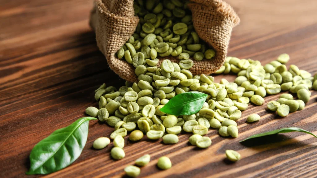Green coffee beans Packaging 25 kg / 50 kg bags Form Roasted beans / ground coffee powder Grade Second grade / lower grade acceptable