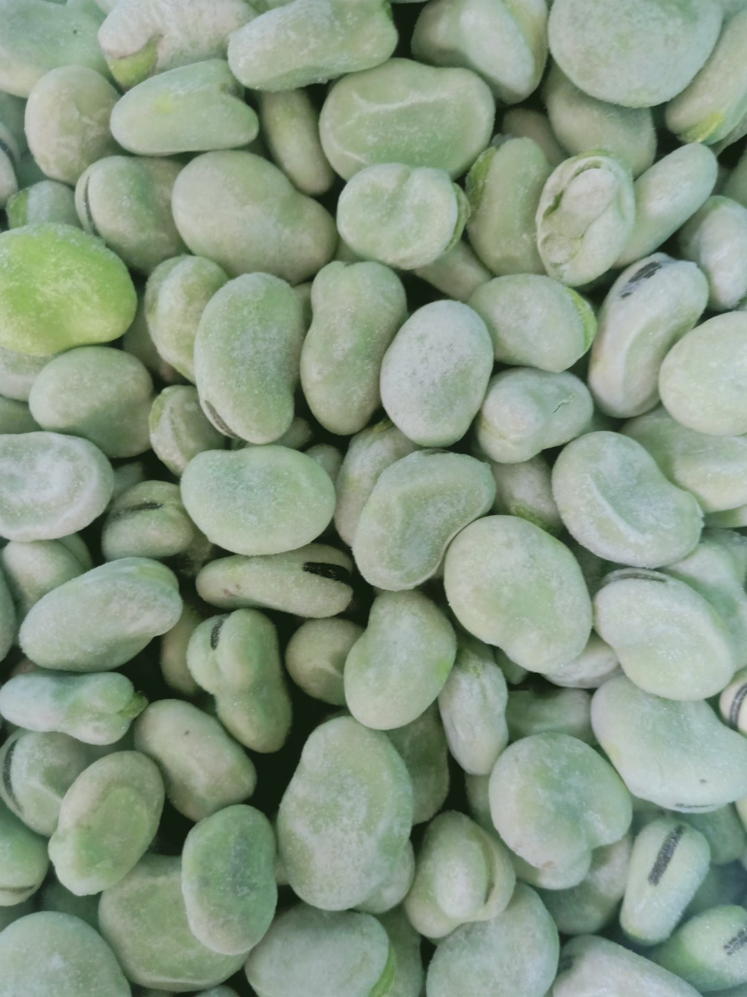 Frozen IQF BROAD BEAN