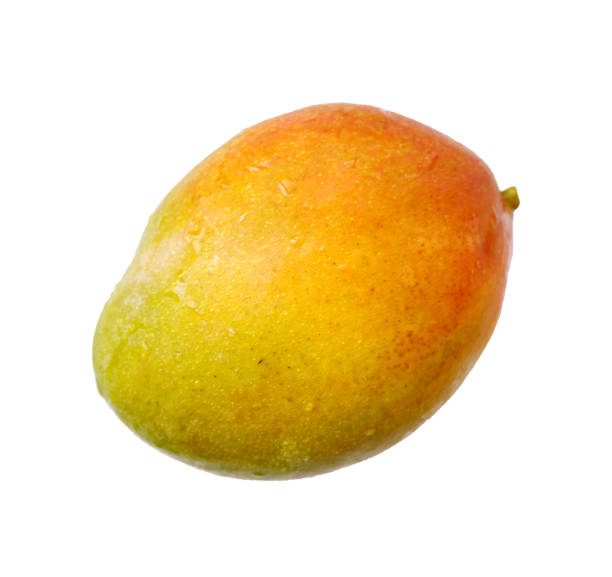 Top 5 Mango Suppliers in Canada in Year 2025: Urgent Market Update & Buyer Guide