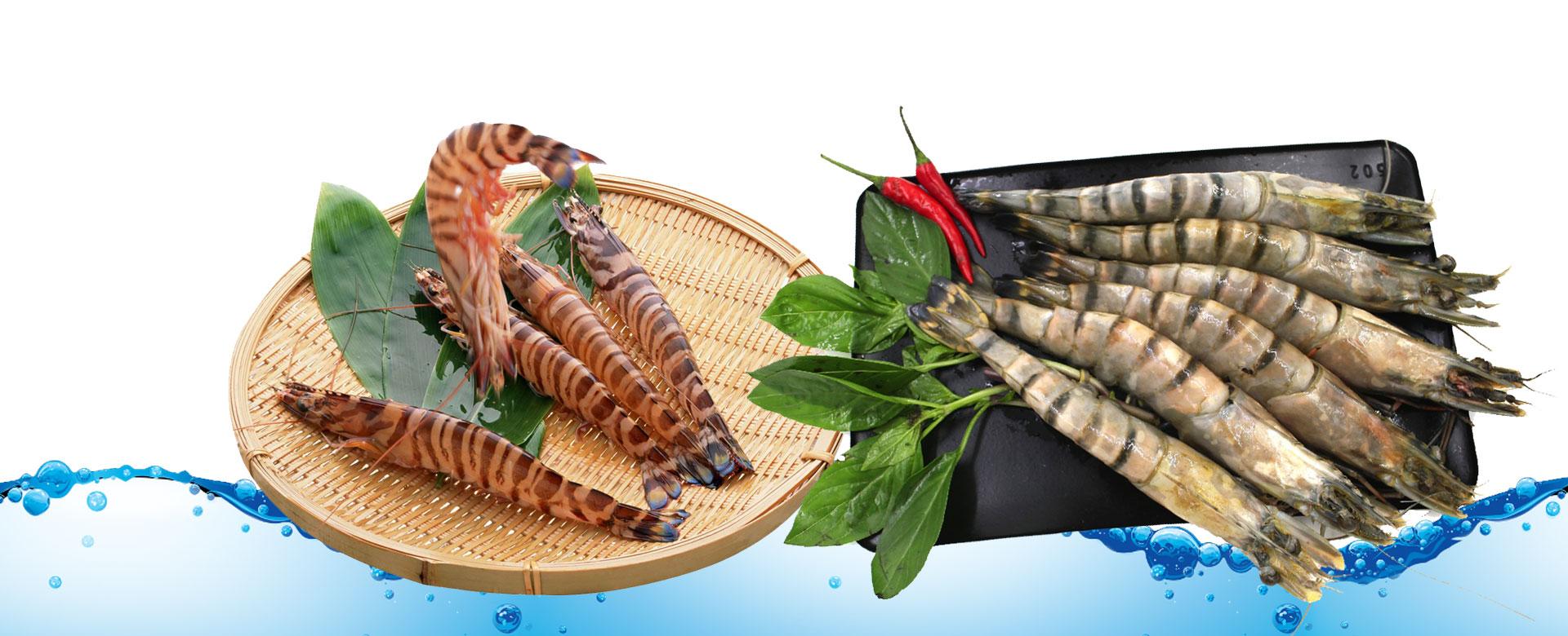 Frozen Sea Tiger Shrimp Supplier & Exporter India | Black Tiger Prawns | HOSO, HLSO & Peeled | Bulk Wholesale Seafood
